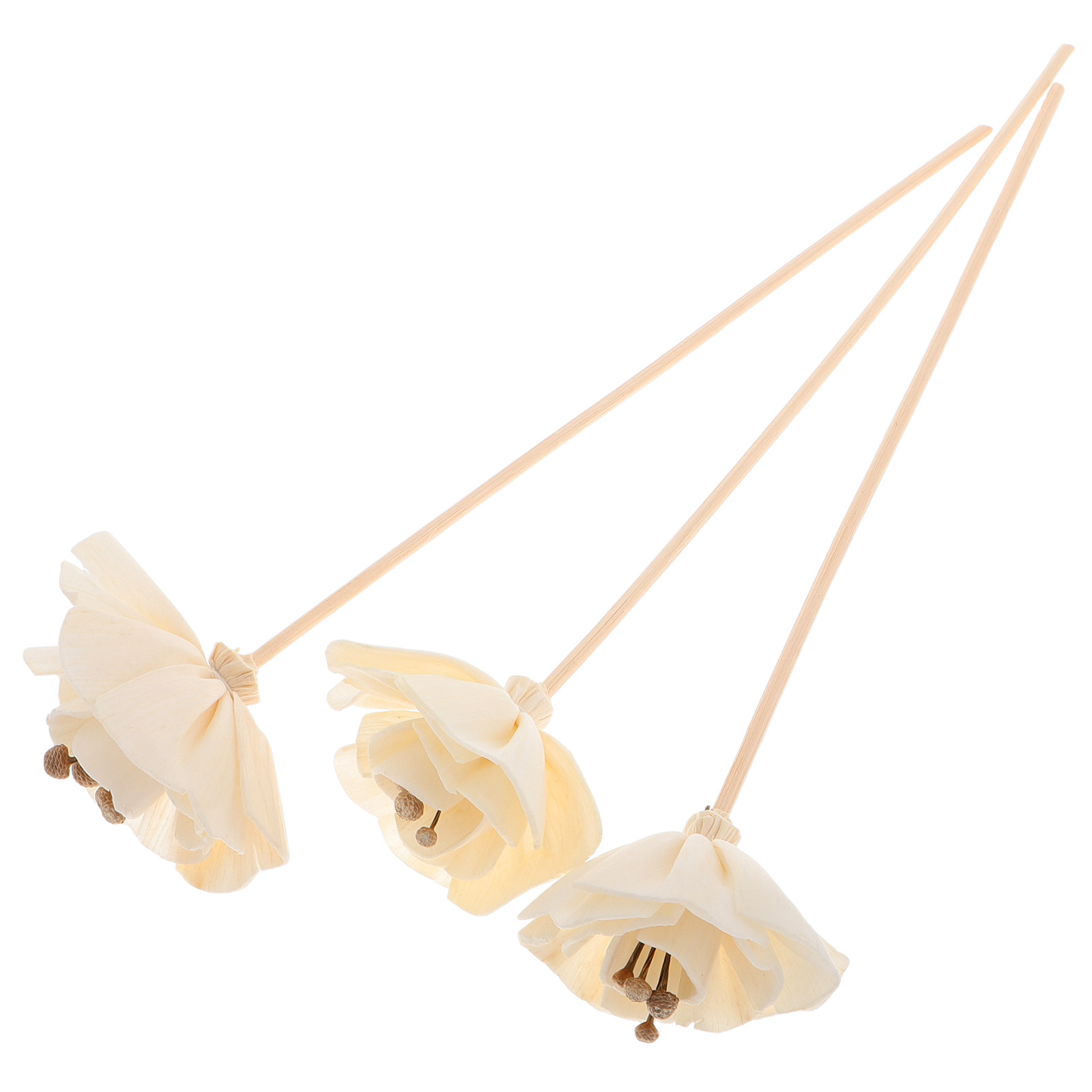 Home Fragrance Diffuser Sticks - 3 Stück Getrocknete Blumen-Duftstäbchen Natürliche Ätherische