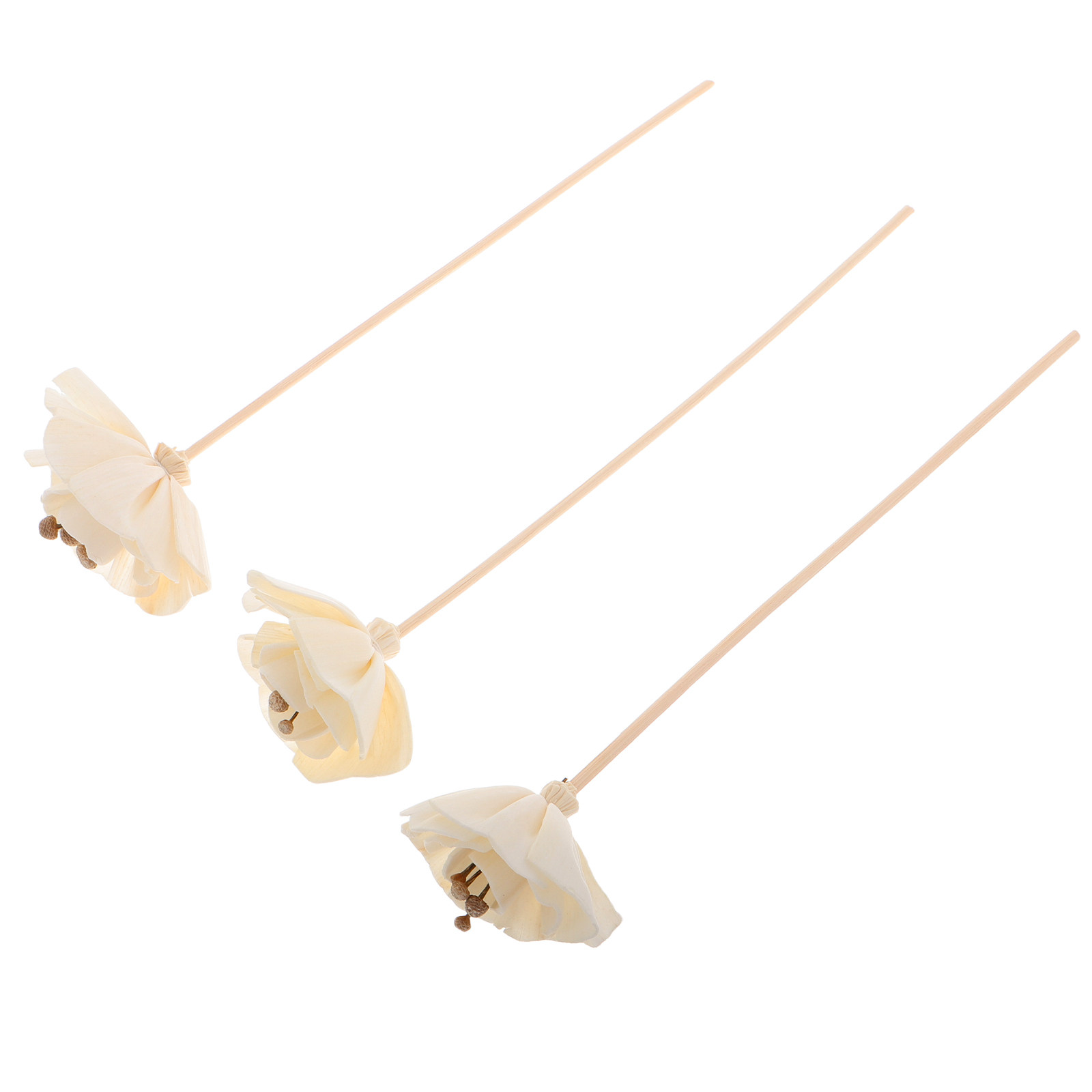 3 Stück Getrocknete Blumen-Duf – Home Fragrance Diffuser Sticks Bewertung und Preis